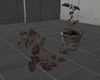 C- Old Plant Concret