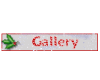 Gallery-Christmas