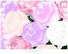 ♡ Pastel Bouquet M/F