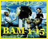 La Bamba Remix + Dance
