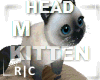 R|C Kitten On Head M