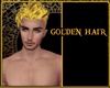 {DBA} GOLDEN HAIR