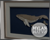 ~M~ | Bexley Whale Frame
