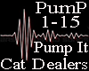 Cat Dealers Pump It