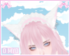 à±¨à§ kitty ears white