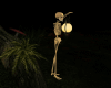 Skeleton Lantern