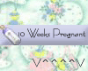10 Weeks Pregnant (b)