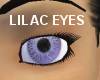 Beautiful Lilac Eyes