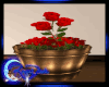 *D*Red Roses in a Barrel