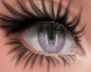 Purple Demure Eyes LTD