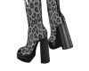 8! ِ  Wild Cat Boots
