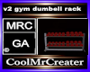 v2 gym dumbell rack