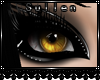 [.s.] June Eyes