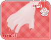 [Pets] Valerie | claws
