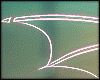 Jas Neon Wings
