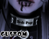 Custom Collar