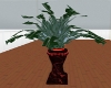 green plant animated
