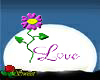 Love Flower