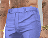 Elegant Blue Pants