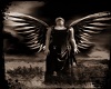 dark angel 4