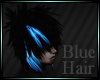 [Y] Blue Hair