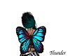 Butterfly wings