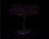 purple tree/pettals
