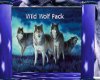 The Wild Wolf Pack Club