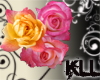 [KLL] Wild Rose Cluster