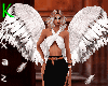 K~Wings Angel#1
