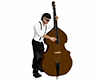 Cello Bass