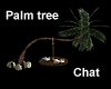 Palm Tree Chat / Relax