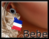 French Flag Earrings