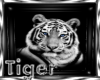 *TR*Tiger Cub
