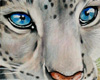 Snow Leopard 3d Litho