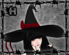 |H| Red Witch Hat