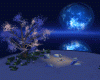 Island Blue