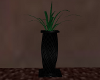 Black Swirl Vase w plant
