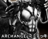 ! ArchAngel III Armour