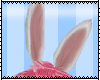 BLue bunny Ears