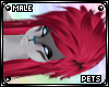 P | Lexx | hair v1