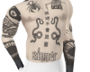 Paradise INK