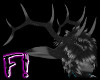 F! Night Elk Antlers
