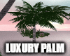 Luxury Palm Tree