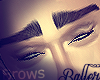  Brows