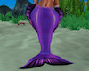 Kalypso Tail - Purple