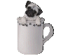 Pug In Mug
