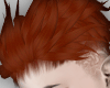 Acky Ginger