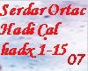 Serdar Ortac Hadi Cal