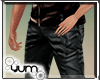 /Y/Untamed Leather Pant
